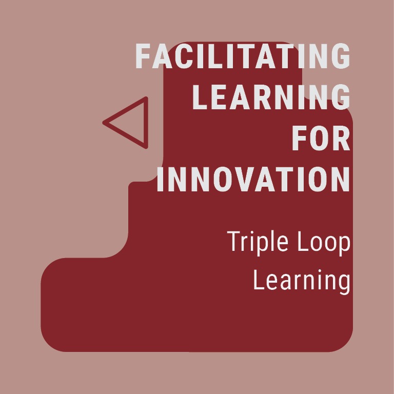 Triple Loop Learning